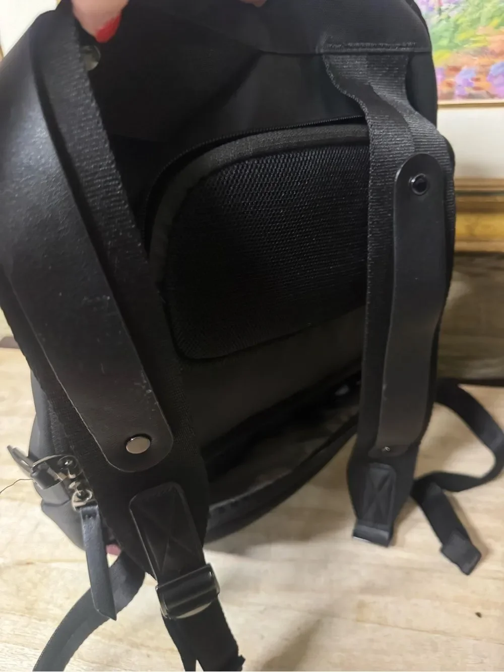 Sherpani anti theft travel backpack